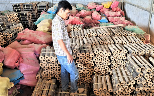 Thị trường củi trấu đầy hứa hẹn