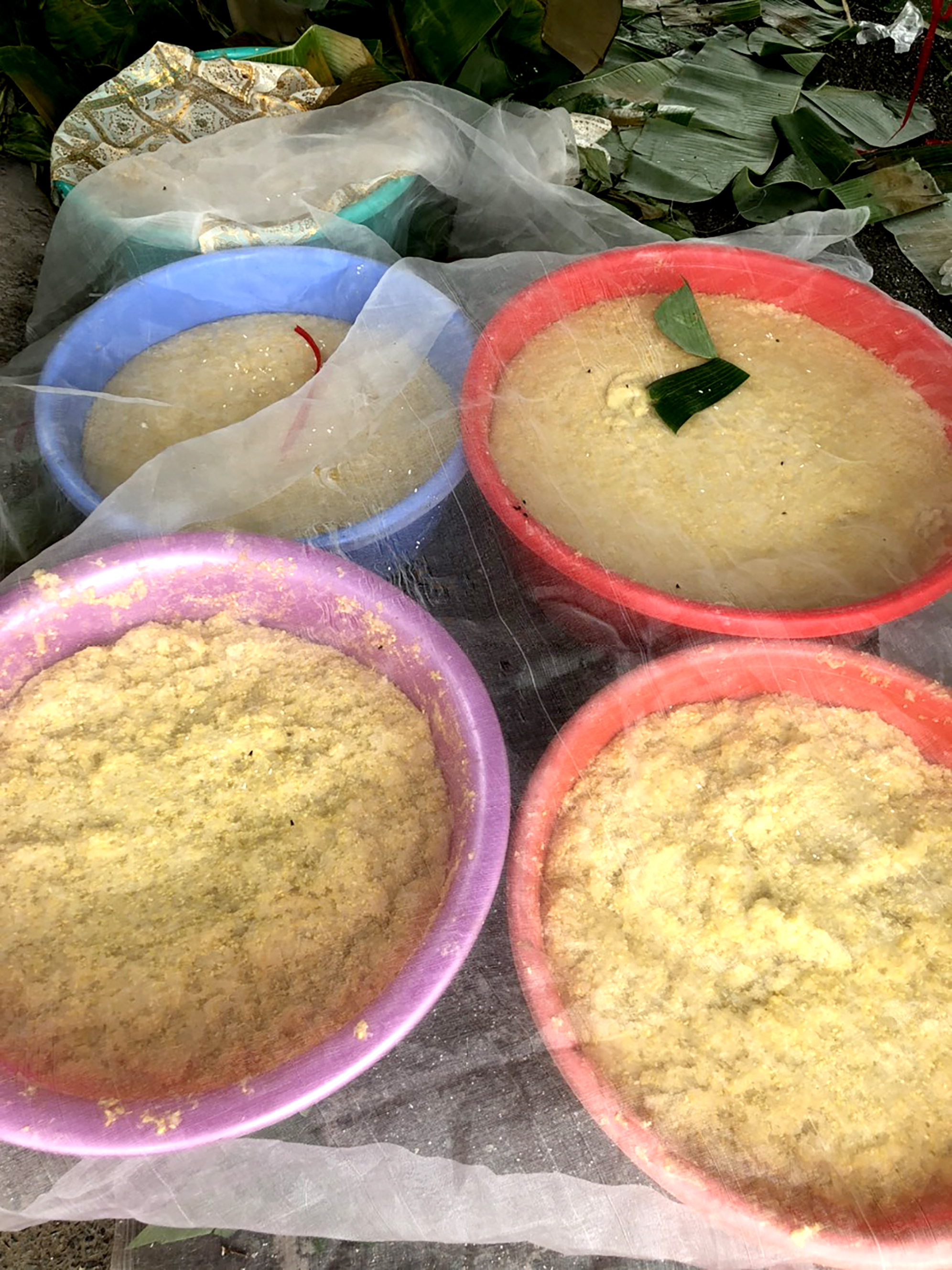 Cận cảnh cặp b&aacute;nh t&eacute;t si&ecirc;u to khổng lồ d&acirc;ng c&uacute;ng B&agrave; Ch&uacute;a Xứ n&uacute;i Sam - Ảnh 3.