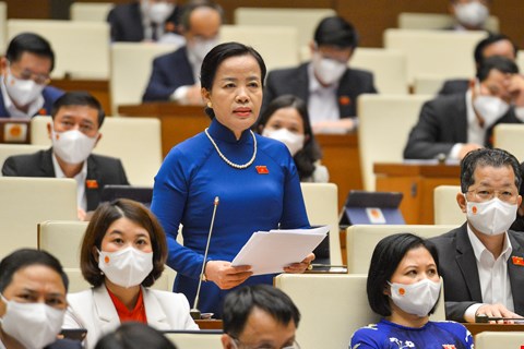 Liệu có những vụ Việt Á trong lựa chọn sách giáo khoa hay không?