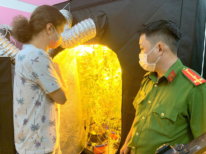 Tuy&ecirc;n &aacute;n một người Nga trồng, t&agrave;ng trữ tr&aacute;i ph&eacute;p cần sa trong ph&ograve;ng ngủ - Ảnh 1.