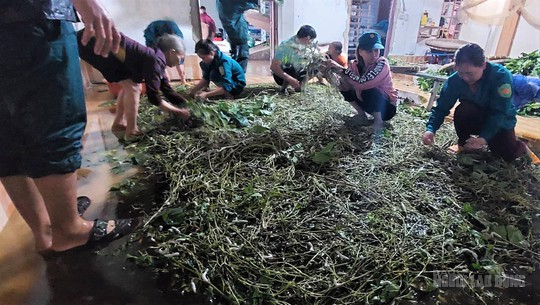 Mưa lớn kéo dài suốt đêm, nhiều nơi ở Lâm Đồng bị ngập sâu - Ảnh 10.