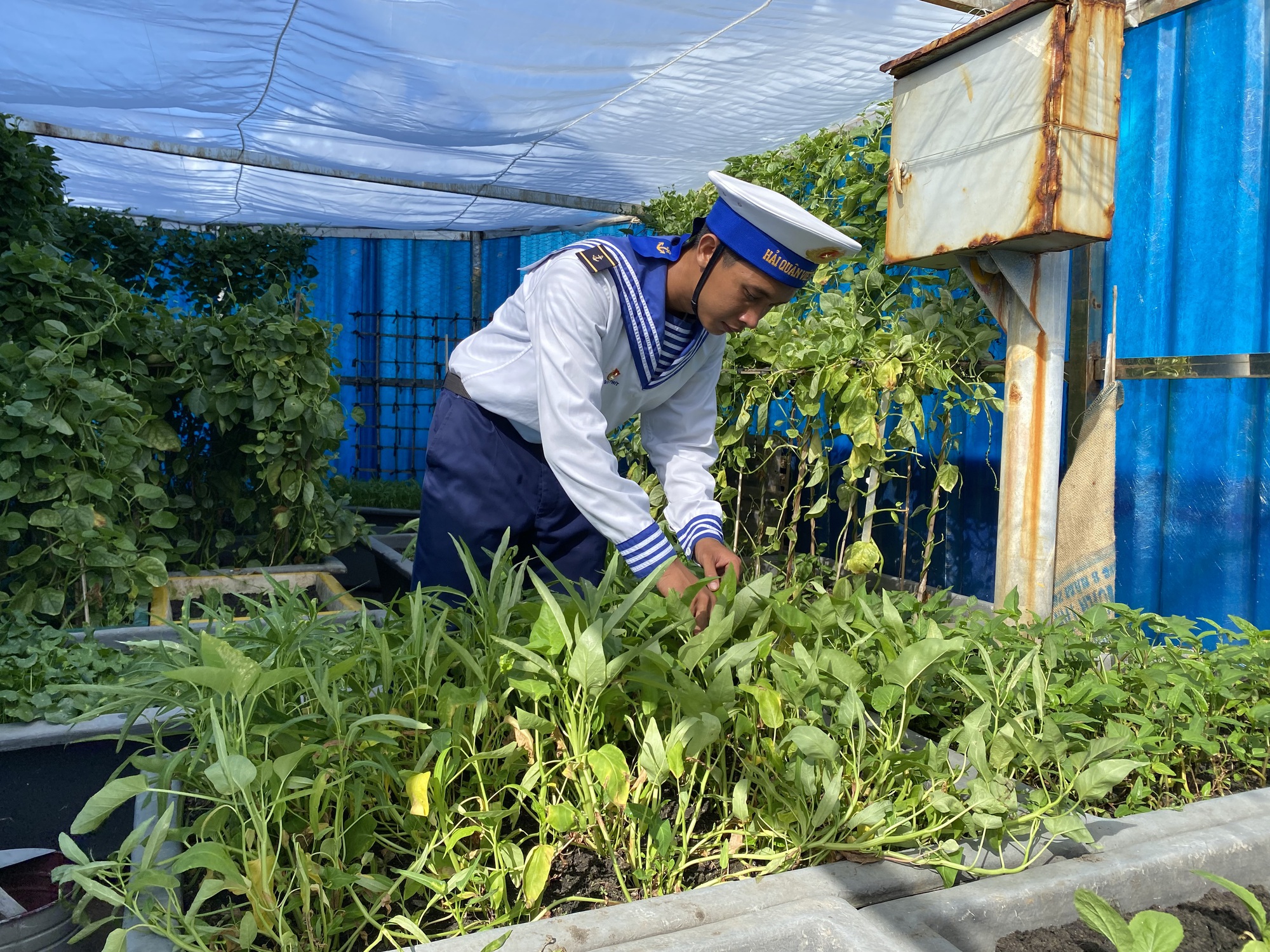 Đo&agrave;n Ban Tuy&ecirc;n gi&aacute;o Trung ương kết th&uacute;c chuyến thăm quần đảo Trường Sa - Nh&agrave; gi&agrave;n DK1 - Ảnh 19.