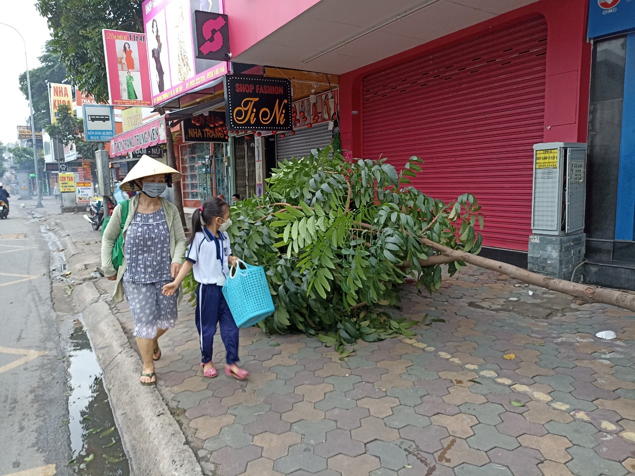 Thấy cành cây rơi, người dân lao ra ứng cứu giữa trời giông gió - Ảnh 7.