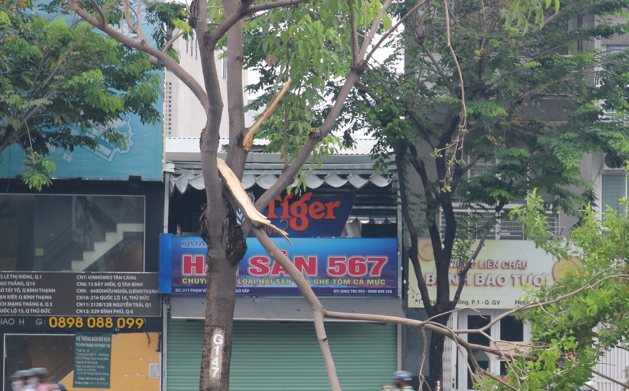 Thấy cành cây rơi, người dân lao ra ứng cứu giữa trời giông gió - Ảnh 6.