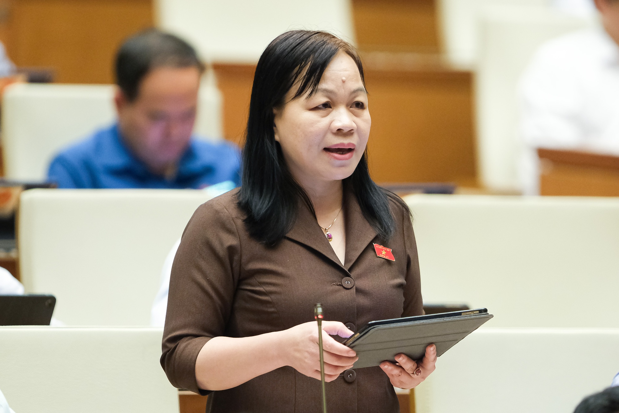 Kiến tr&uacute;c sư, nh&agrave; văn... được đề xuất x&eacute;t tặng danh hiệu Nghệ sĩ nh&acirc;n d&acirc;n, Nghệ sĩ ưu t&uacute; - Ảnh 2.
