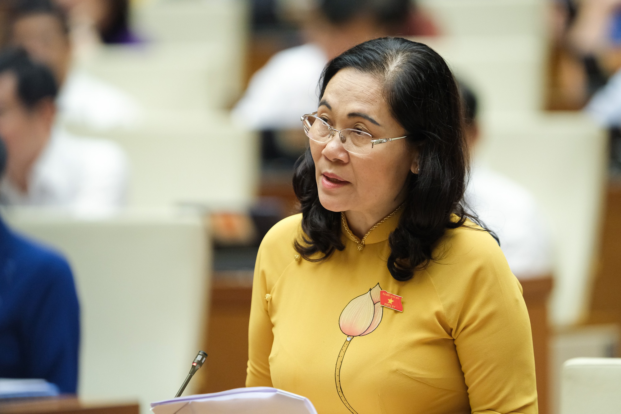 ĐBQH: Th&ocirc;ng tin quy hoạch thiếu c&ocirc;ng khai dẫn đến sốt đất, đầu cơ - Ảnh 2.