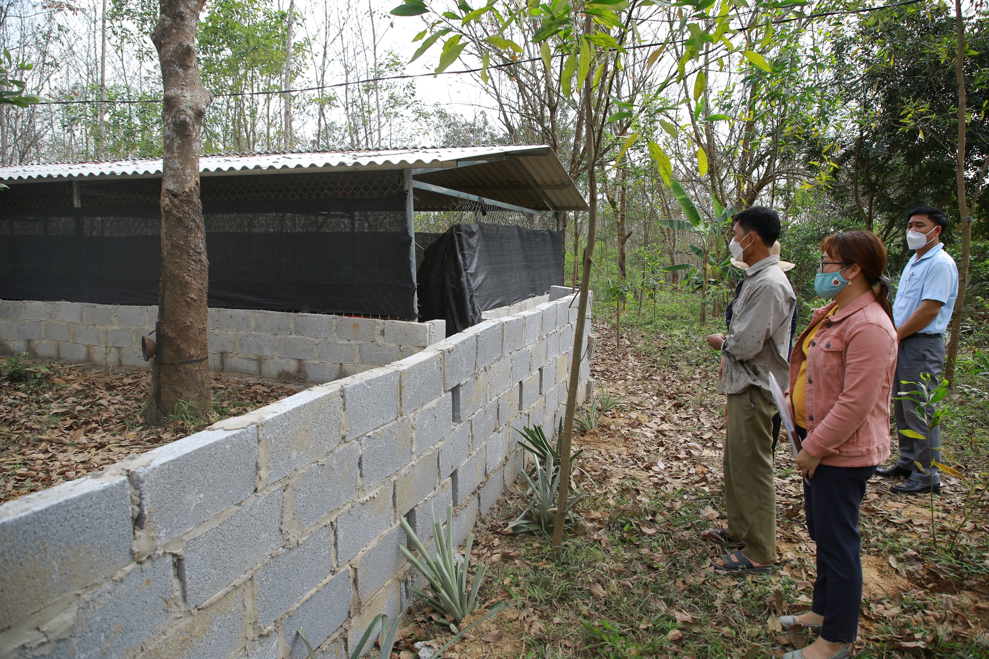 Ồ ạt xây dựng nhằm trục lợi tại dự án đường cao tốc Bắc - Nam: Các tỉnh tuyên bố xử nghiêm