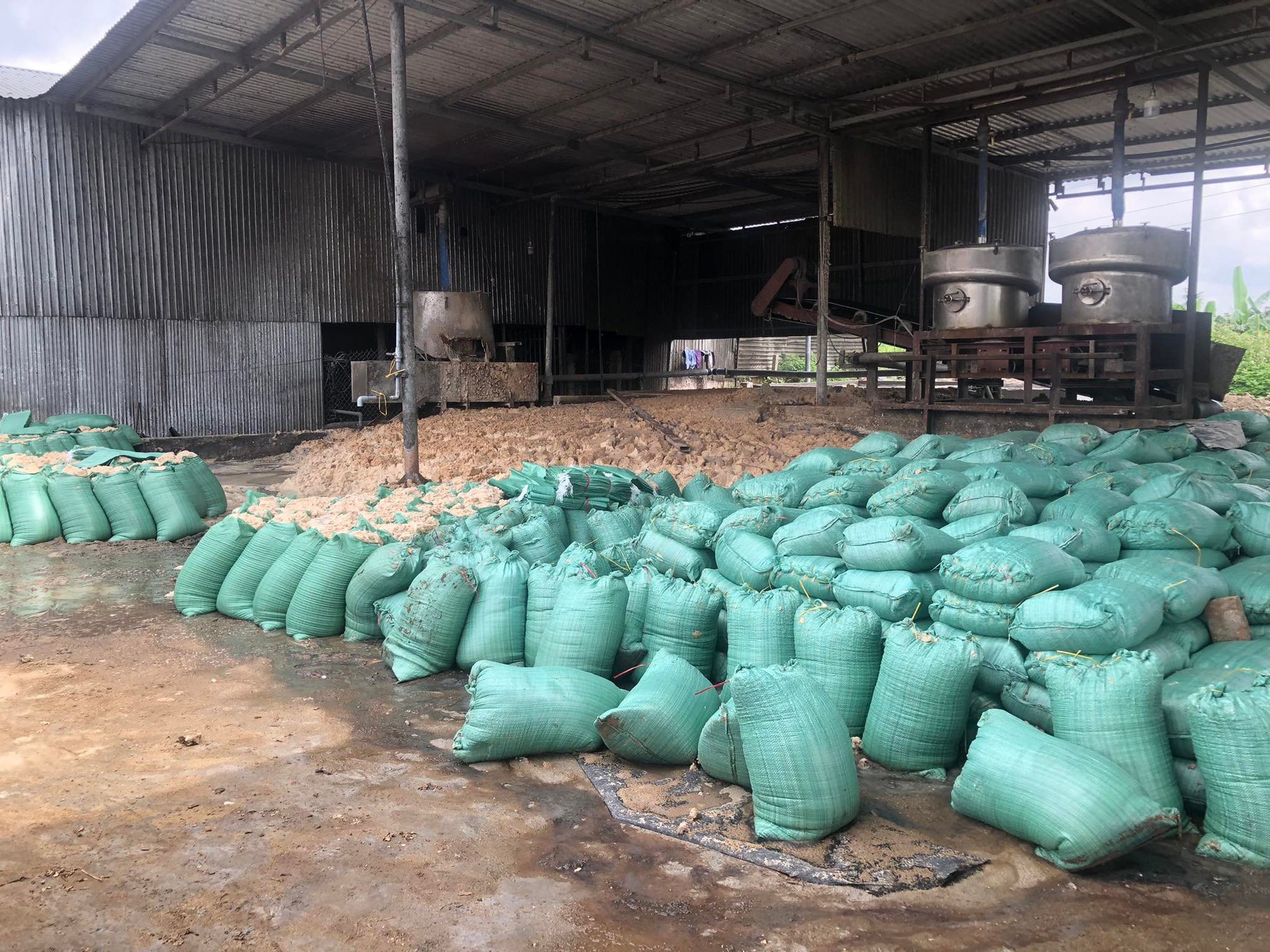 Lập đo&agrave;n kiểm tra nguy&ecirc;n nh&acirc;n c&aacute; chết h&agrave;ng loạt tr&ecirc;n s&ocirc;ng B&agrave;u Giang - Ảnh 1.