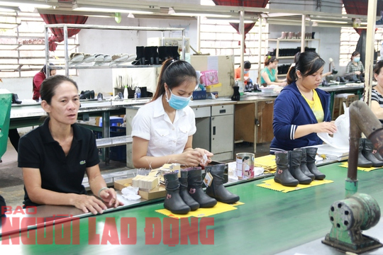 Ồ ạt rút BHXH một lần: Giảm số năm đóng, tăng mức hưởng - Ảnh 2.
