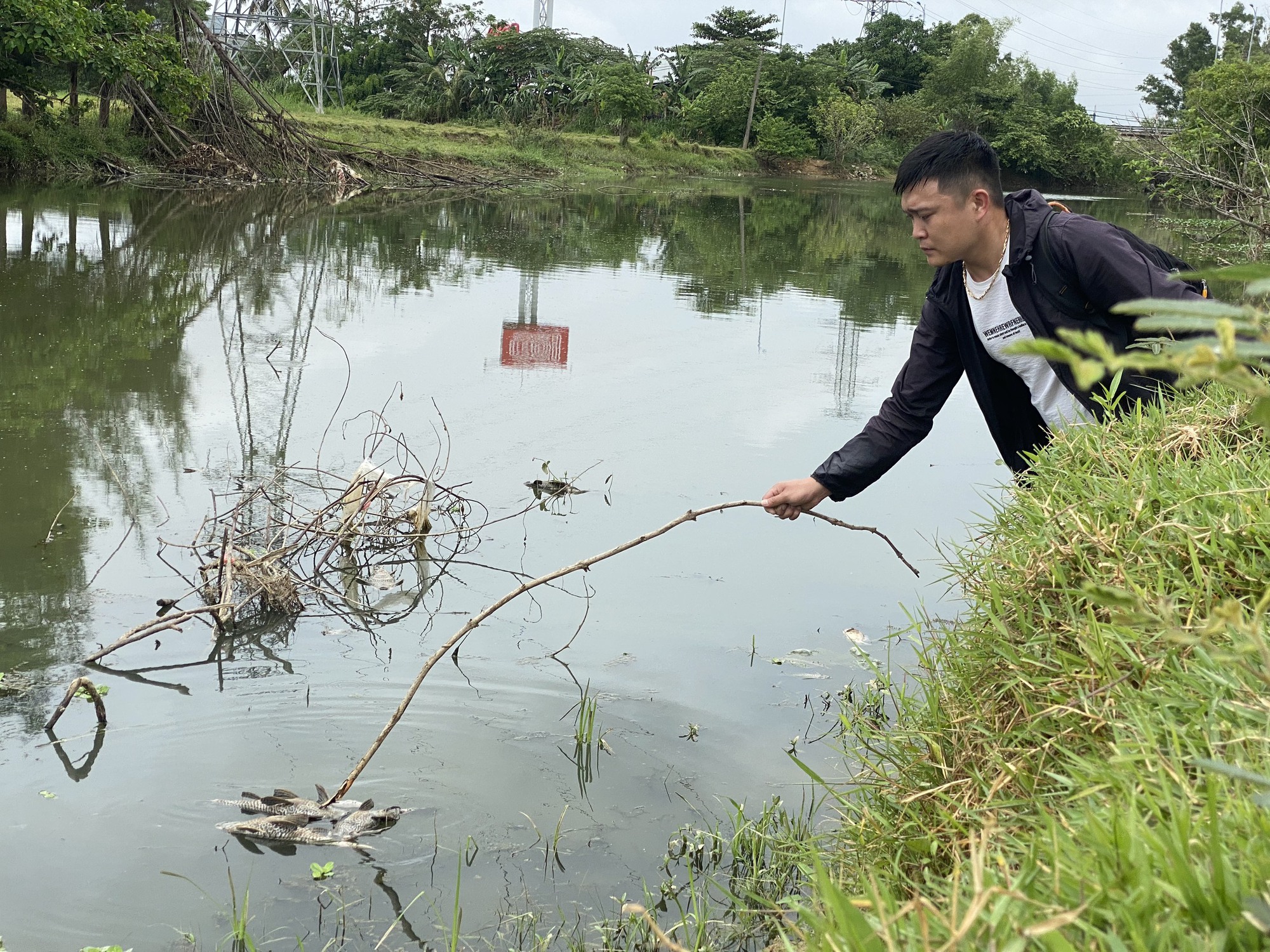 Lập đoàn kiểm tra nguyên nhân cá chết hàng loạt trên sông Bàu Giang