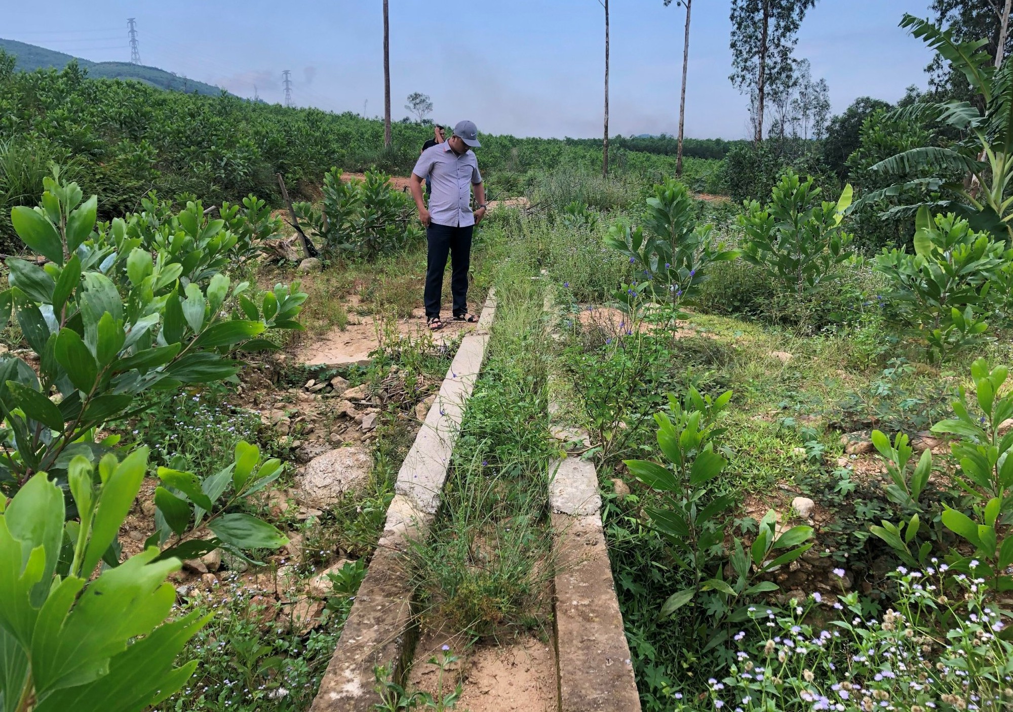 Làm kênh mương để dẫn… đất