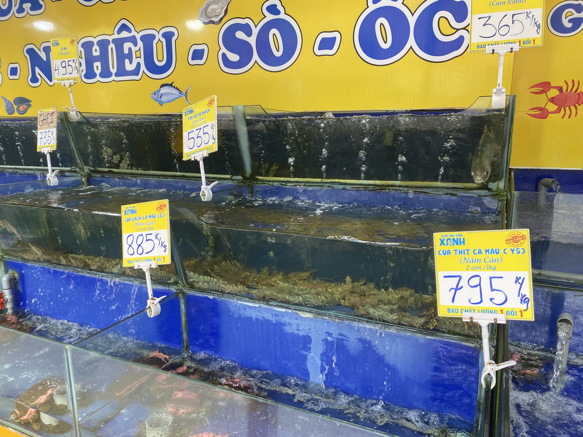 Hải sản giảm giá nhưng vẫn rất cao, ít người mua - Ảnh 7.