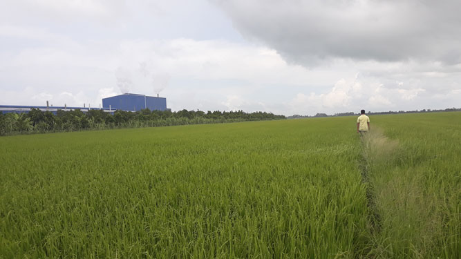 Vì sao sếu đầu đỏ không về?