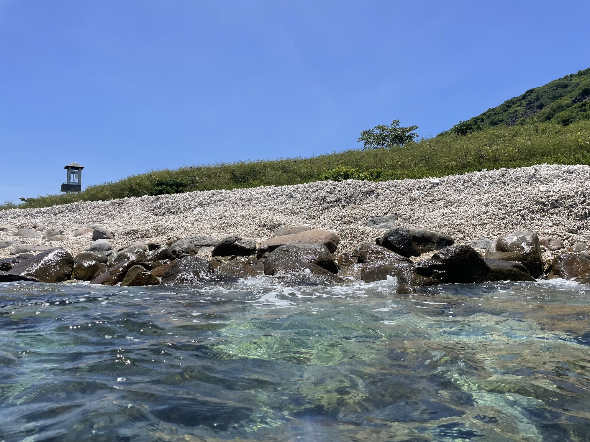 BẢO TỒN BIỂN VỊNH NHA TRANG: S.O.S! (*): Điều tra nguy&ecirc;n nh&acirc;n để ngăn chặn - Ảnh 1.