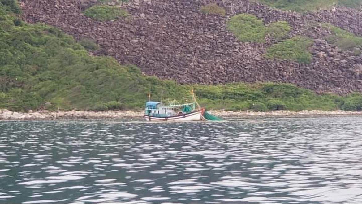 BẢO TỒN BIỂN VỊNH NHA TRANG: S.O.S! (*): Điều tra nguy&ecirc;n nh&acirc;n để ngăn chặn - Ảnh 3.