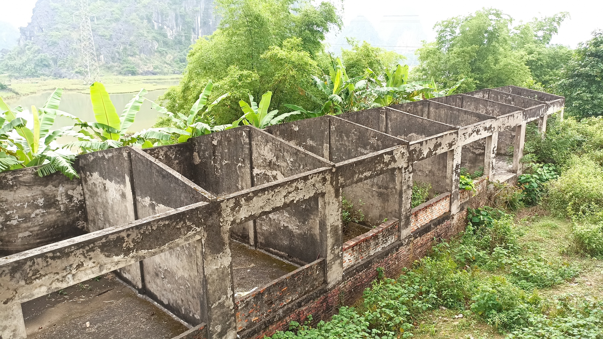 Nhà máy xi-măng 5.000 tỉ đồng bỏ hoang thành bãi chăn trâu, bò - Ảnh 3.