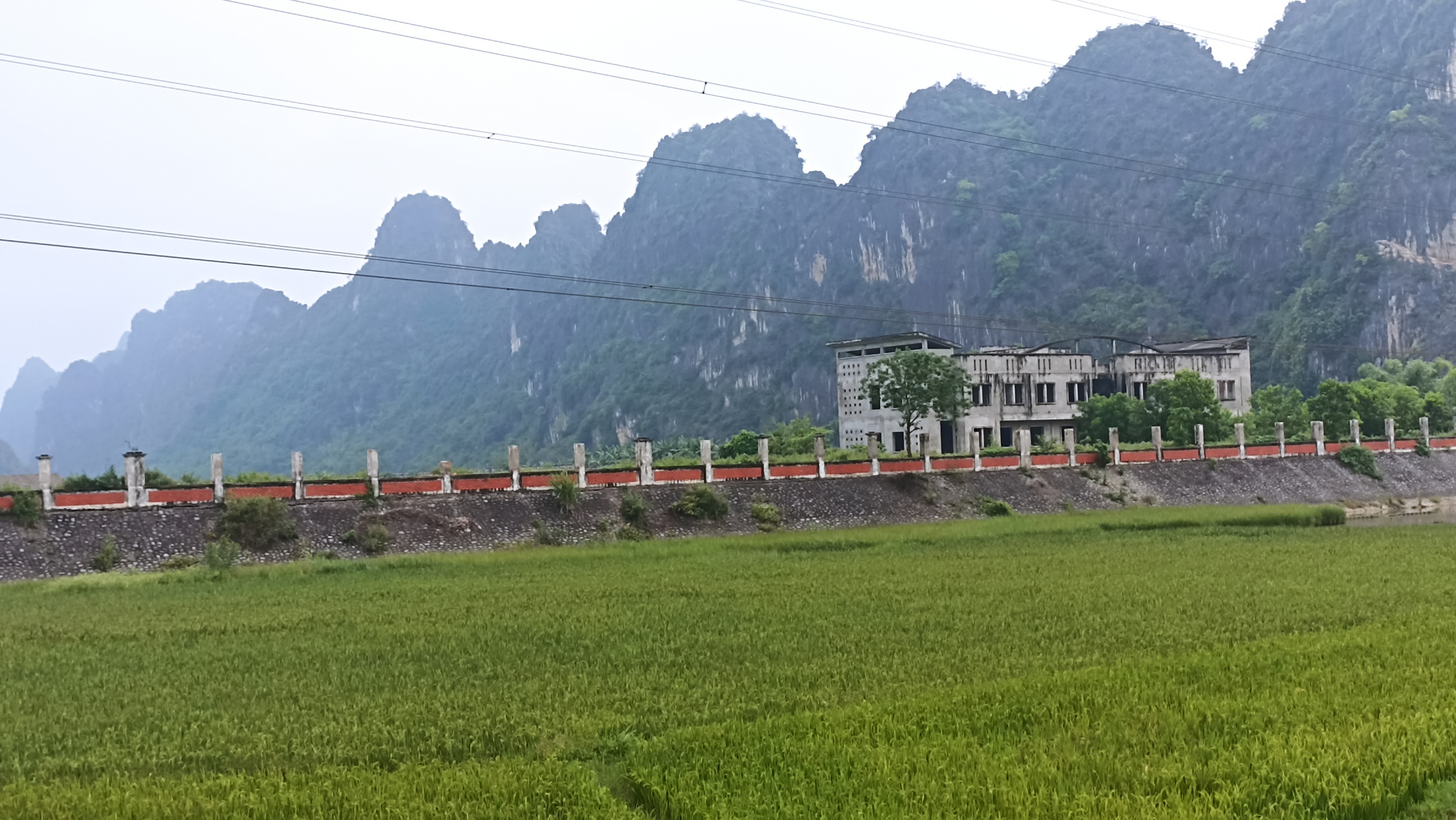 Nhà máy xi-măng 5.000 tỉ đồng bỏ hoang thành bãi chăn trâu, bò - Ảnh 8.