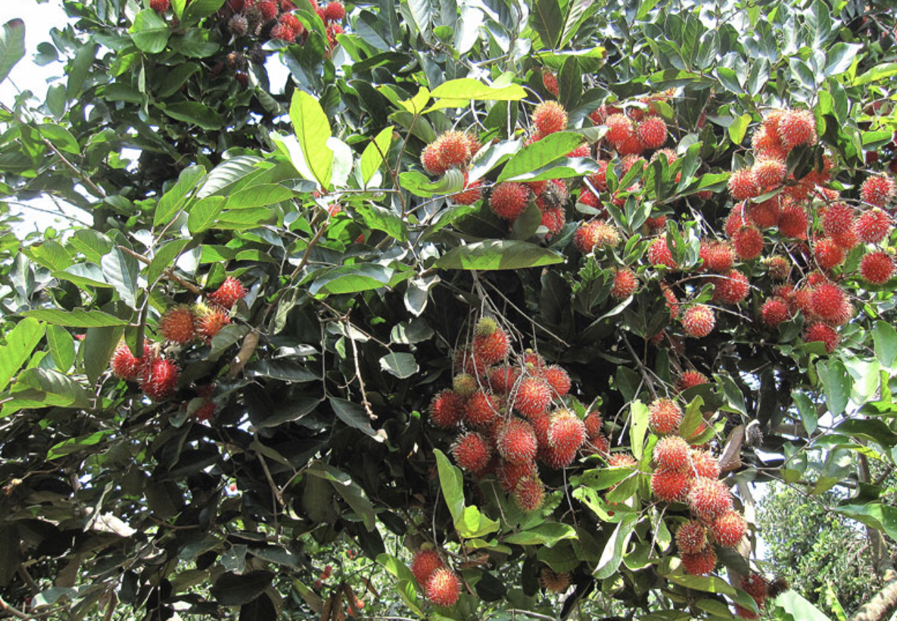 Chuyện nhỏ mà không nhỏ