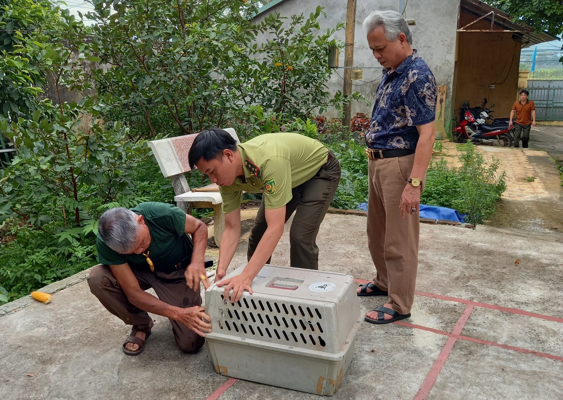 Vườn Quốc gia Cúc Phương tiếp nhận nhiều động vật hoang dã nguy cấp quý hiếm