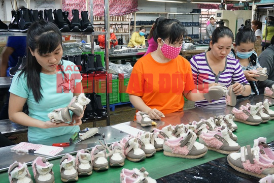 Ồ ạt r&uacute;t BHXH một lần: Ngo&agrave;i 40 tuổi c&oacute; ai tuyển dụng nữa đ&acirc;u m&agrave; chờ hưu? - Ảnh 2.