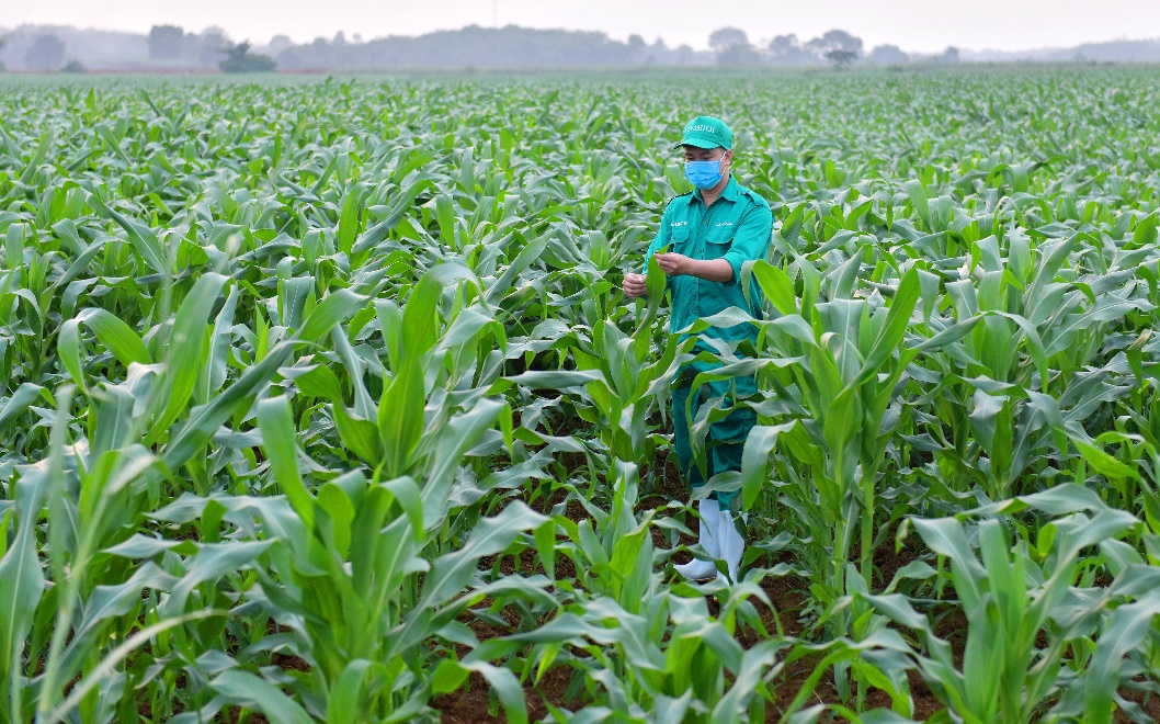 M&ocirc; h&igrave;nh ph&aacute;t triển bền vững Vinamilk Green Farm được chia sẻ tại hội nghị sữa to&agrave;n cầu - Ảnh 11.