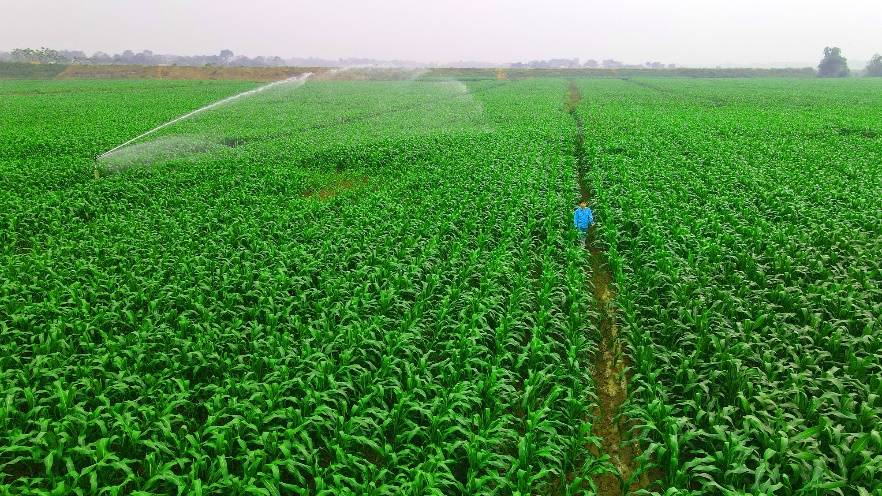 M&ocirc; h&igrave;nh ph&aacute;t triển bền vững Vinamilk Green Farm được chia sẻ tại hội nghị sữa to&agrave;n cầu - Ảnh 12.