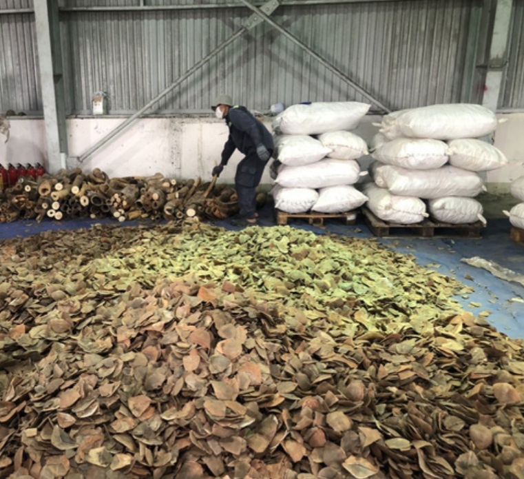 Th&ocirc;ng tin mới vụ bu&ocirc;n lậu động vật hoang d&atilde; l&ecirc;n đến 300 tỉ ở Đ&agrave; Nẵng - Ảnh 2.