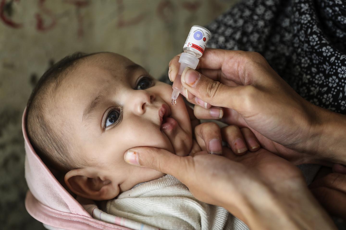 WHO đã xác định nguồn phát tán virus "tuyệt tích" 42 năm tái xuất trong nước thải