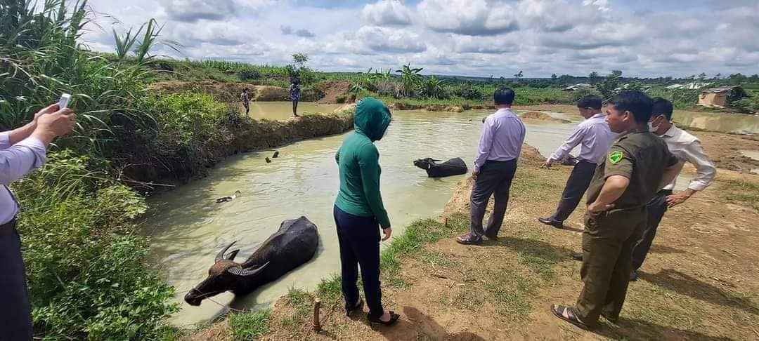 Phát hiện thi thể 2 chị em ruột trong ao nước gần nhà