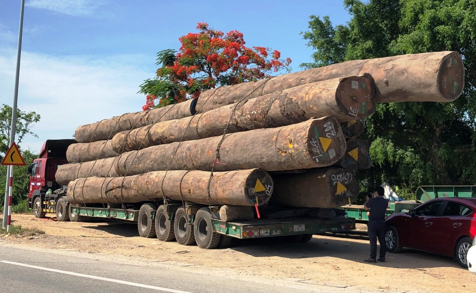 Xe đầu k&eacute;o khủng chở hơn 83m3 gỗ lim vượt qua h&agrave;ng loạt địa phương - Ảnh 1.