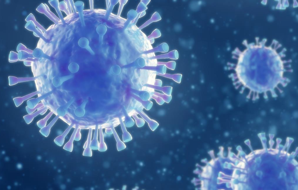 Phát hiện virus corona mới ở Thụy Điển, "không biết có gây nguy hiểm cho người hay không "