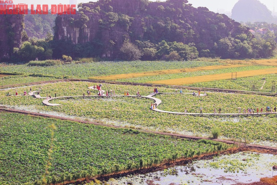 M&aacute;t l&agrave;nh ng&agrave;y hạ - Ảnh 1.