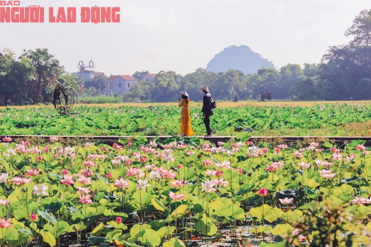 M&aacute;t l&agrave;nh ng&agrave;y hạ - Ảnh 8.