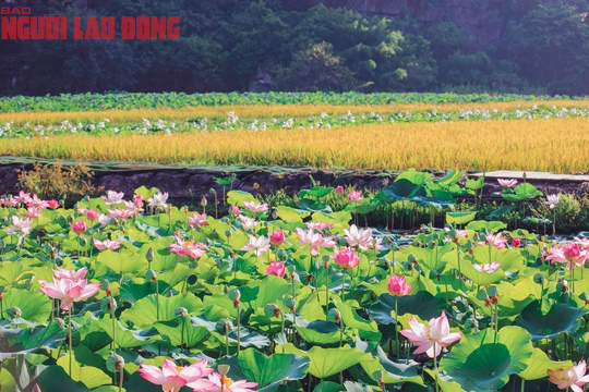 M&aacute;t l&agrave;nh ng&agrave;y hạ - Ảnh 3.