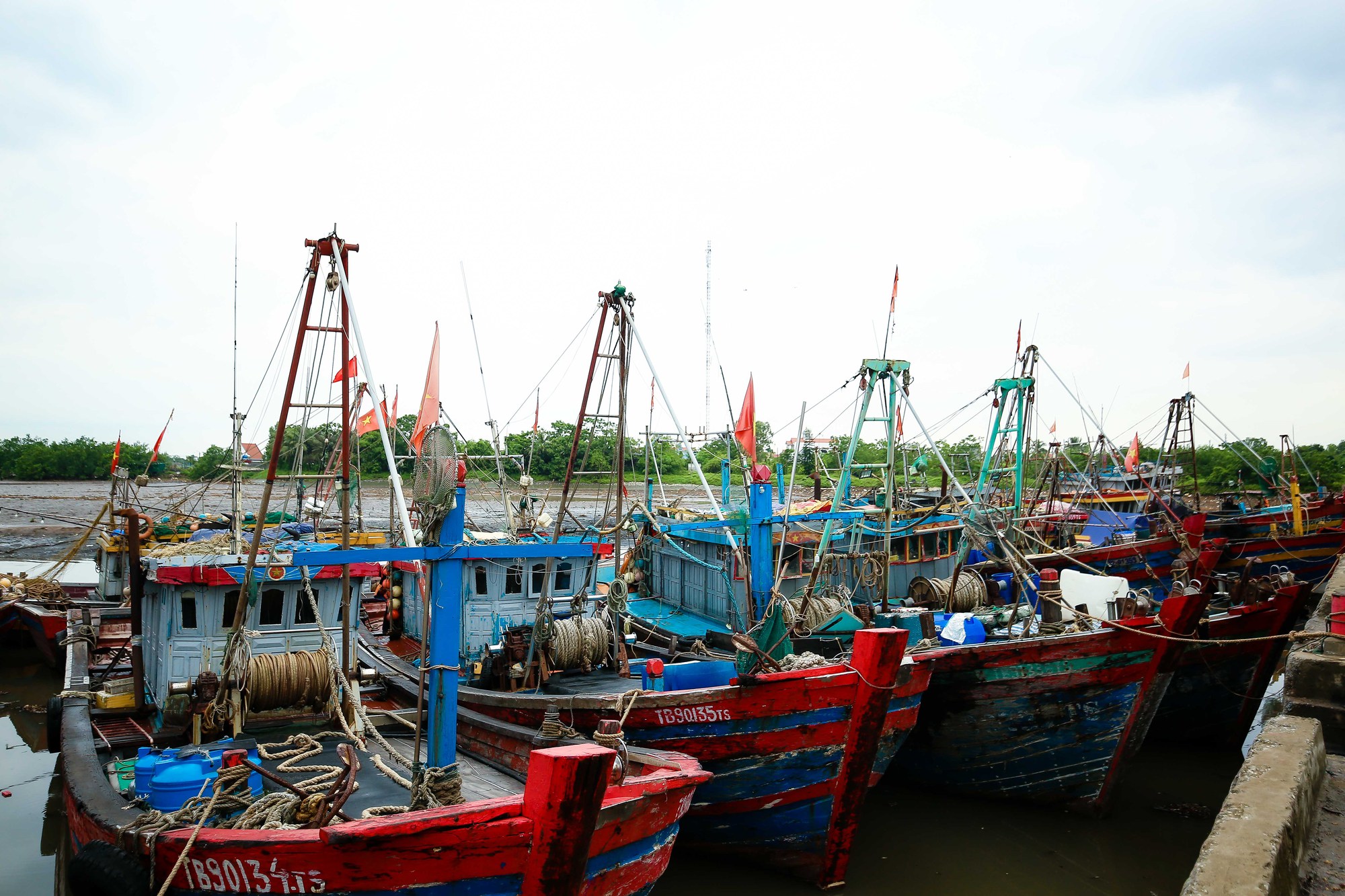 Trao tặng ngư dân tỉnh Thái Bình 10.000 lá cờ Tổ quốc - Ảnh 14.