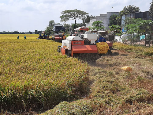Kh&ocirc;ng lo lũ, chỉ ngại triều cường - Ảnh 1.