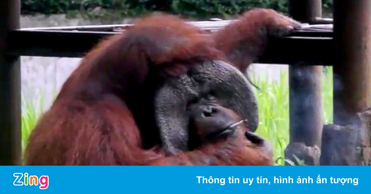 Phạt nặng để điều chỉnh hành vi chưa chuẩn