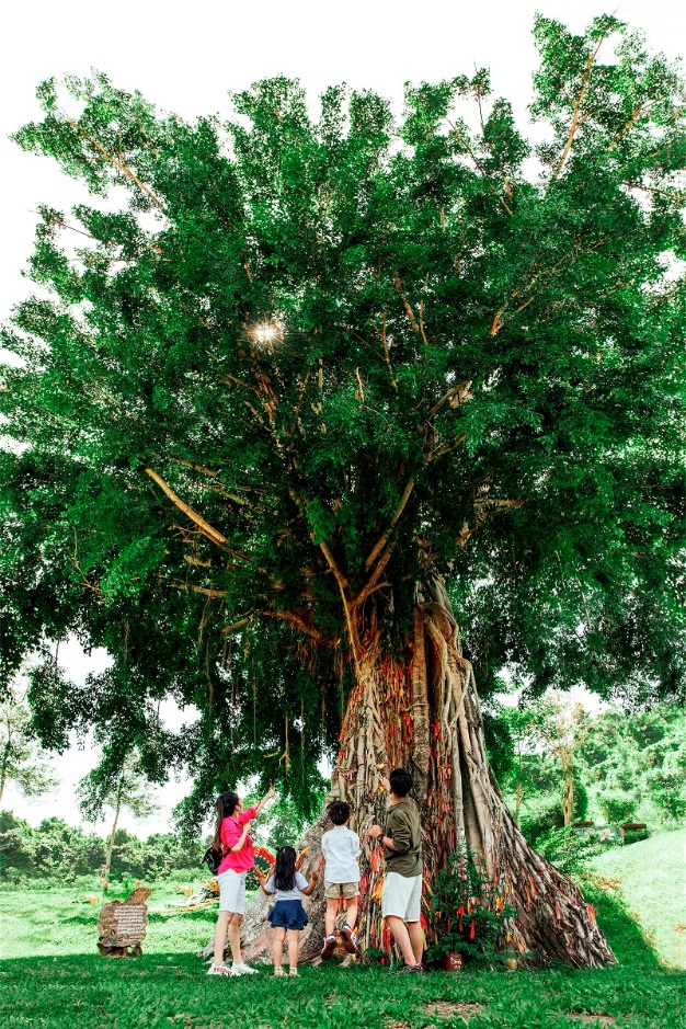 Yang Bay - Điểm đến lý thú dành cho các em nhỏ - Ảnh 2.