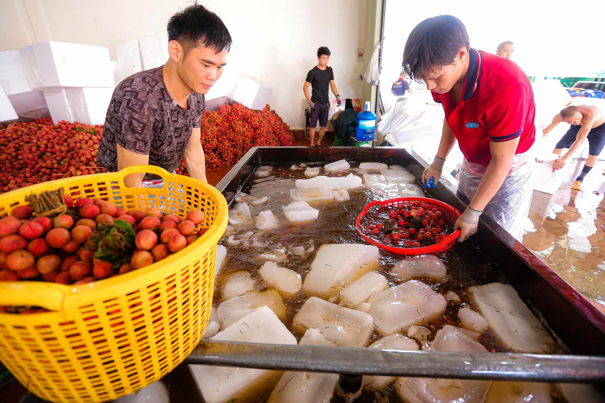 B&aacute;n sức lấy tiền, phu vải kiếm tiền triệu mỗi ng&agrave;y - Ảnh 4.