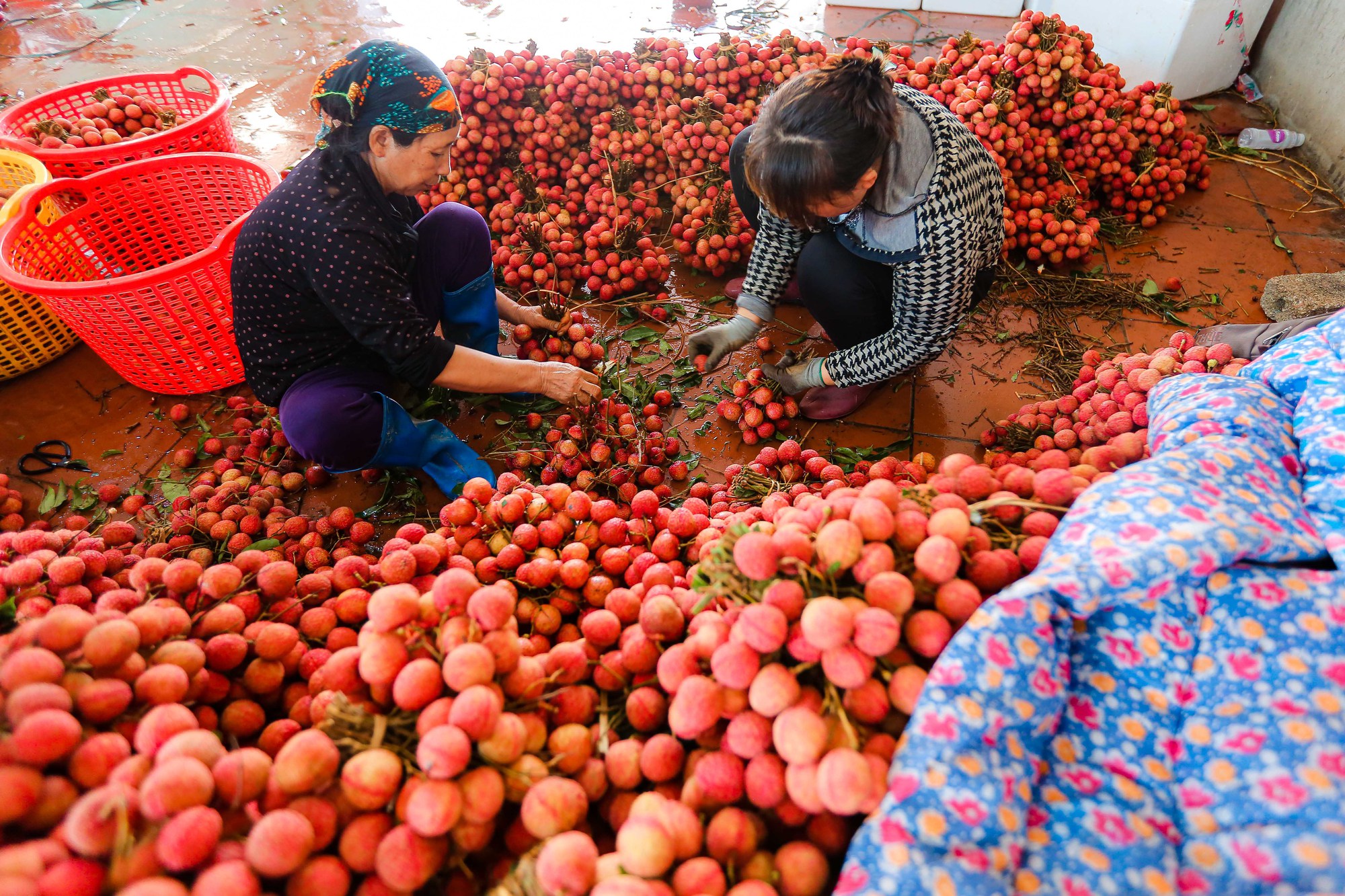 B&aacute;n sức lấy tiền, phu vải kiếm tiền triệu mỗi ng&agrave;y - Ảnh 5.