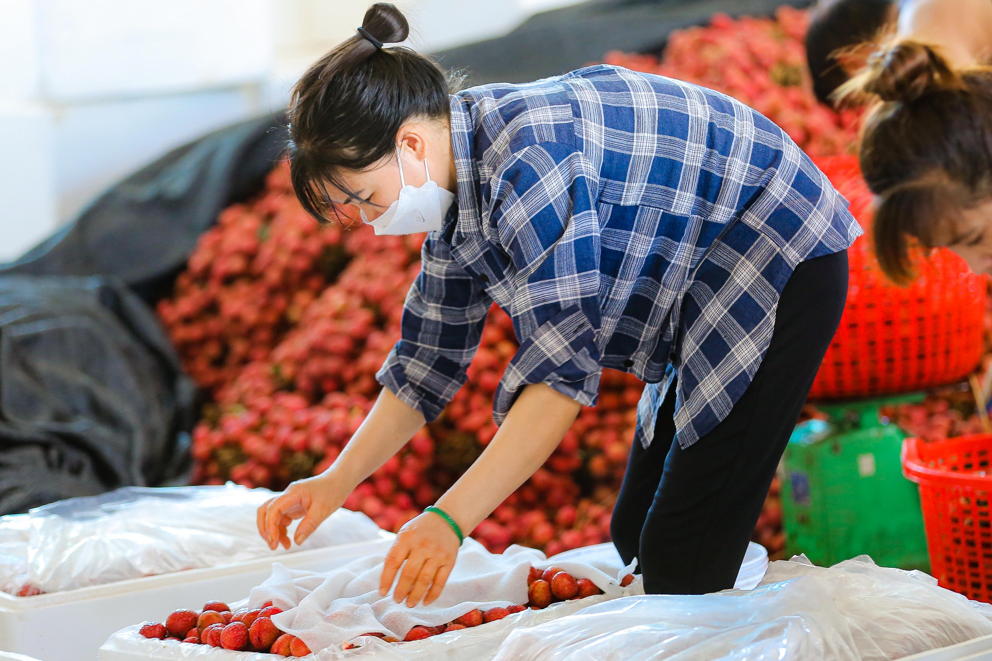 B&aacute;n sức lấy tiền, phu vải kiếm tiền triệu mỗi ng&agrave;y - Ảnh 8.