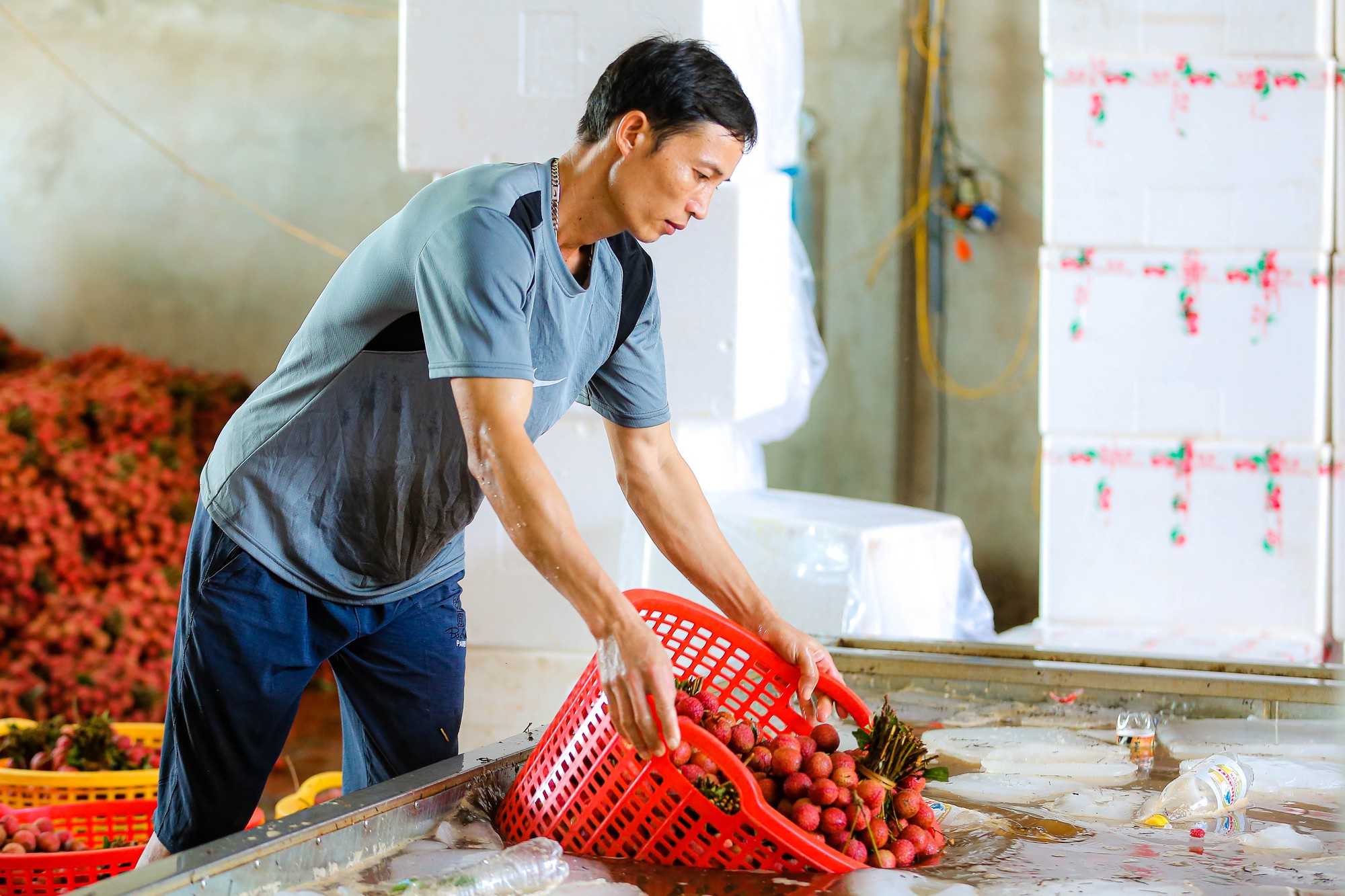 B&aacute;n sức lấy tiền, phu vải kiếm tiền triệu mỗi ng&agrave;y - Ảnh 3.