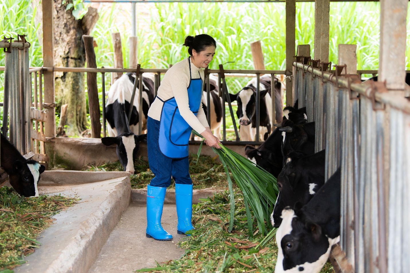 FrieslandCampina Việt Nam chăm lo đời sống tinh thần cho phụ nữ vùng cao