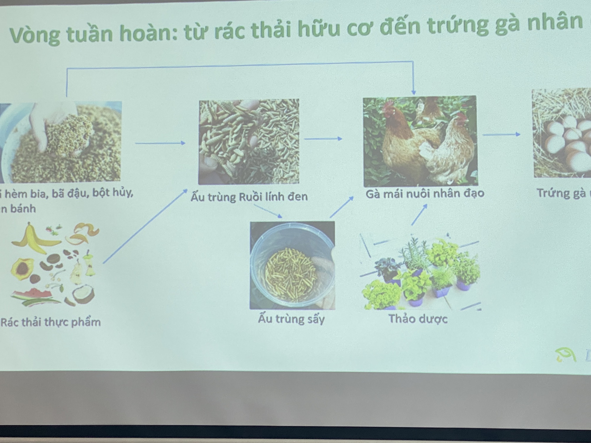Bất ngờ: Xử lý rác hữu cơ thành "gà và trứng gà"!