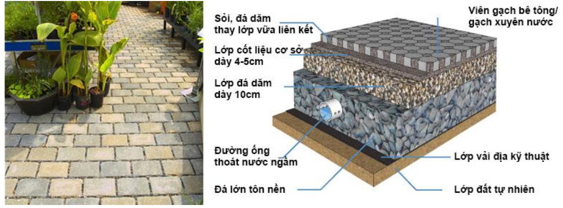 Giải pháp vỉa hè thẩm thấu nước kết hợp mảng xanh chống ngập