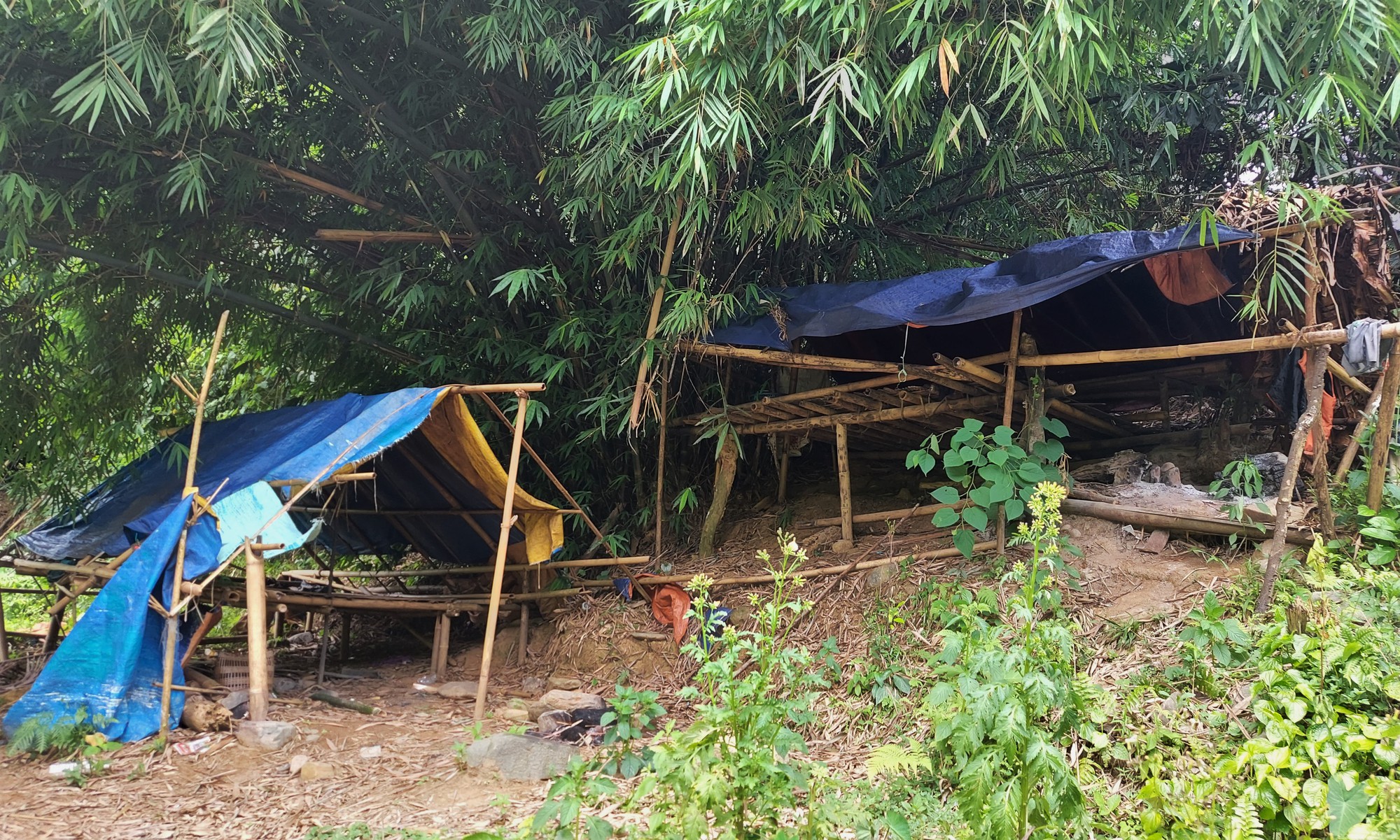 Vụ Rầm rộ khoét núi, phá rừng tìm vàng: Điều tra, xử lý nếu có tiếp tay, bảo kê
