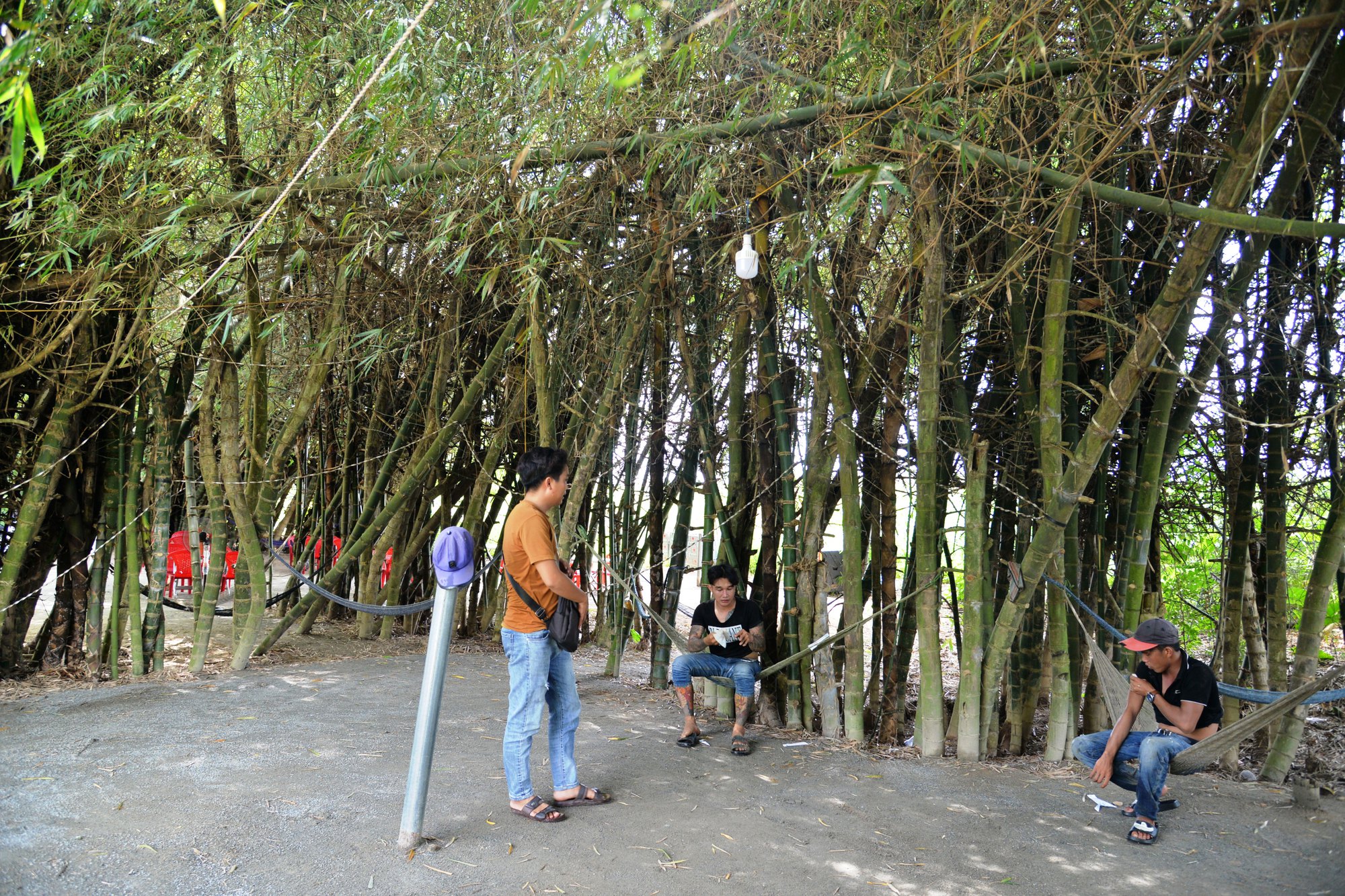 Ốc đảo giữa d&ograve;ng Tr&agrave; Kh&uacute;c - Ảnh 2.