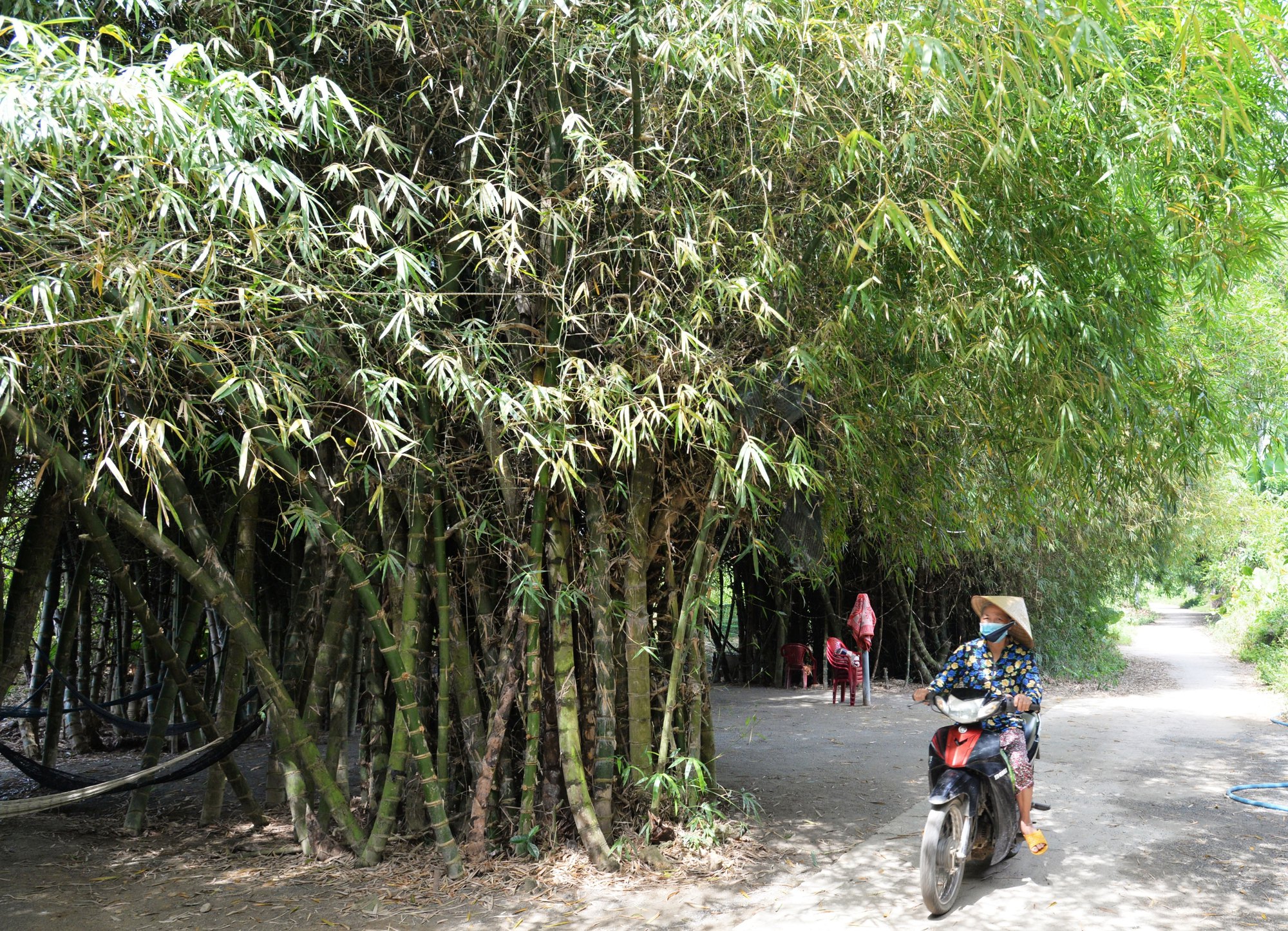 "Ốc đảo" giữa dòng Trà Khúc