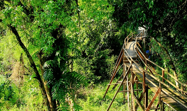Kinh nghiệm du lịch bụi rừng Nam Cát Tiên