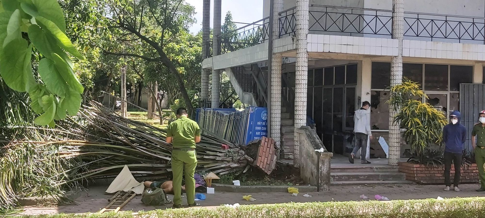 Đang nghỉ trong công viên, người đàn ông bất ngờ bị cây đổ đè chết